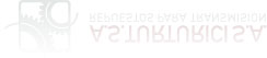 A.S. TURTURICI S.A. | Repuestos para transmisi&oacute;n